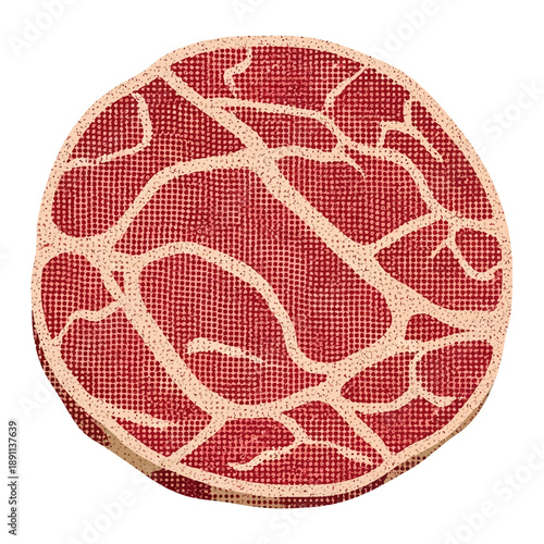 A stylized vector illustration of a raw meat patty with visible marbling, representing cultivated or plant-based meat alternatives for food and healthy eating concepts