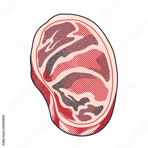 Detailed vector illustration of a premium raw red meat cut, resembling a gourmet steak, perfect for butchers, culinary blogs, and food branding design assets