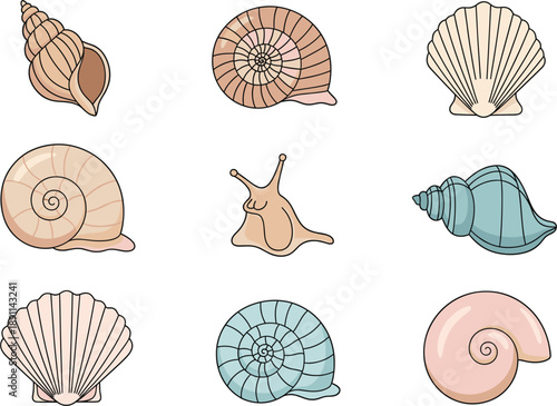 Minimal Cartoon Sea Shell Collection Vector Illustration Flat Style