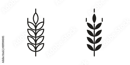 Wheat ear icon with organic grain stalks in outline and solid styles representing agriculture farming bakery and harvest and this illustration is perfect for bread labels and agricultural branding
