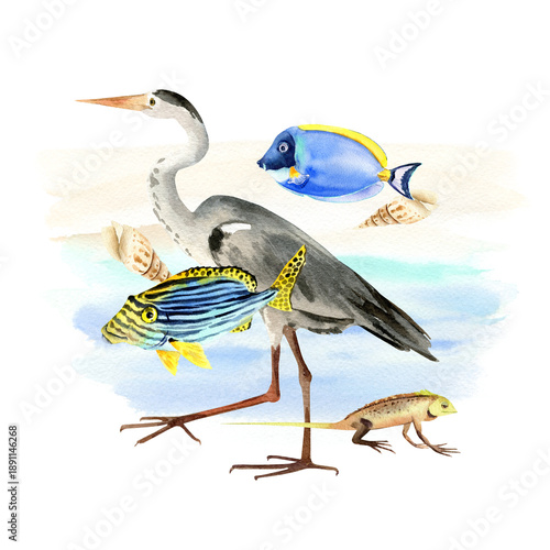 watercolor tropical fishes, gray heron, lizard, shell against blue splash, hand drawn bright underwater animals, bird, reptile, wildlife of islands of Indian ocean, inhabitants of Bali's, Maldives sea