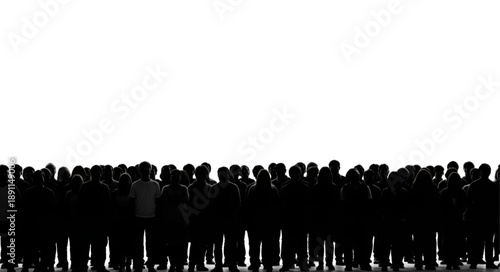 Large crowd of people silhouetted against a white background.
