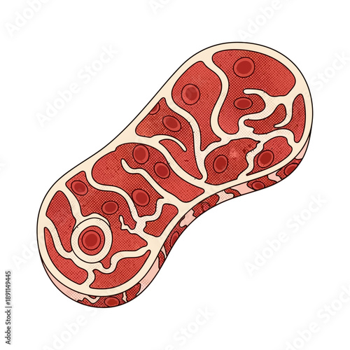 Vector illustration of a stylized raw red meat steak cut, featuring detailed marbling and a clean graphic design, perfect for food industry concepts and healthy eating themes