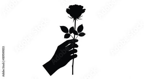 A hand gently holding a rose with delicate petals silhouette