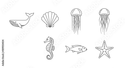 Ocean creatures illustration whale jellyfish shell seahorse fish starfish