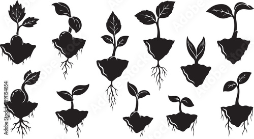 Black silhouettes of various young plants growing in soil