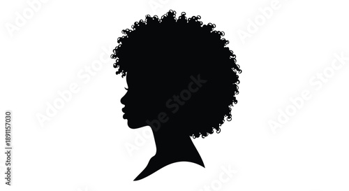 A striking profile of a woman with afro hair a bold silhouette