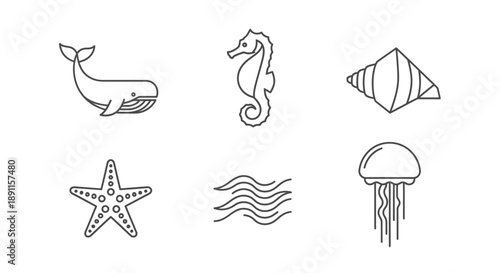 Minimalist marine life icons whale seahorse shell starfish waves jellyfish