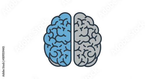 Stylized illustration of human brain hemisphere education and ideas concept
