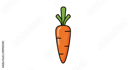 Fresh carrot illustration on white background for culinary and dietary use