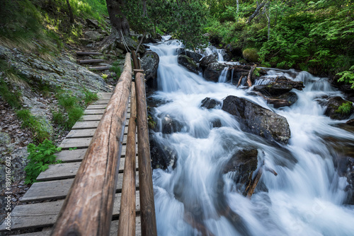 Estanyó river through the forest, Sorteny Valley Natural Park, Ordino district, Andorra, Europe