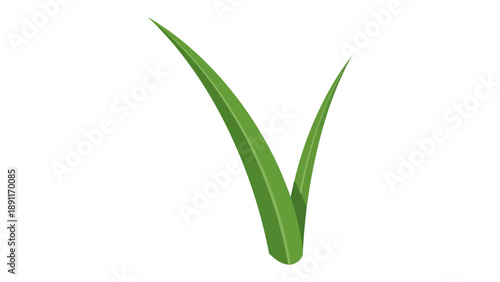 Two green grass blades in a Vshape against a white background