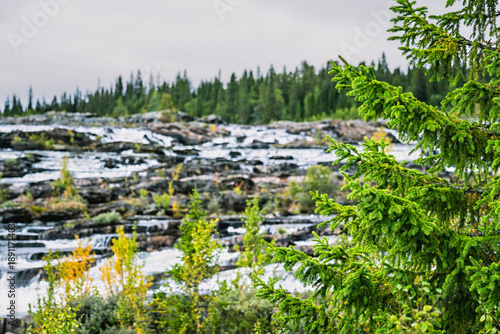 Trappstegsforsen waterfall flowing over rocky steps in autumn forest