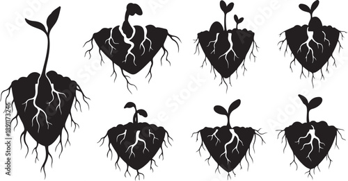 Heart shaped plants with roots growing in different directions