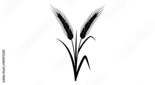 A striking depiction of two wheat stalks with detailed grain heads and curving stems presented as a dark silhouette