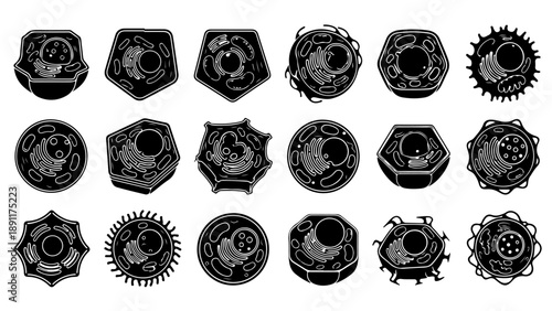 Collection of detailed cell illustrations in various shapes and forms