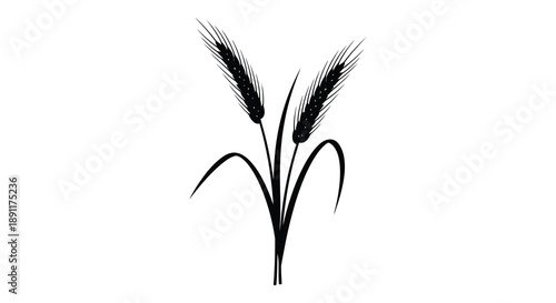 A striking black and white illustration depicts several stalks of wheat their forms elegantly contrasted against a plain background silhouette