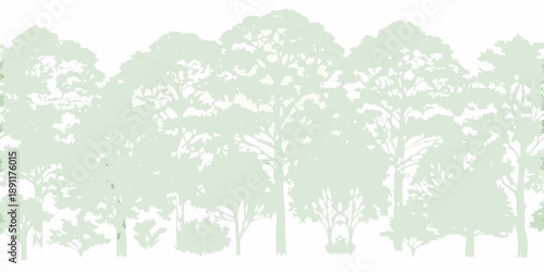 A light green silhouette of a dense forest of evergreen trees