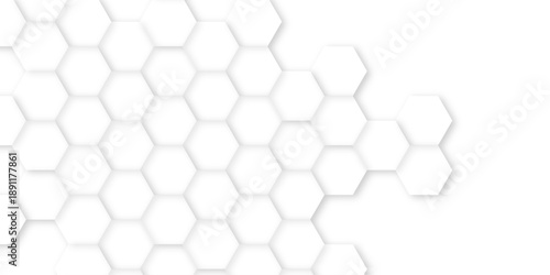 Abstract background with hexagon, modern abstract vector polygonal pattern. Futuristic honeycomb mosaic white background, white and gray hexagon honeycomb geometric copy space.	