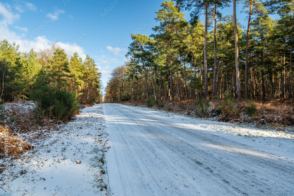 Fotografie Route départementale traversant une forêt