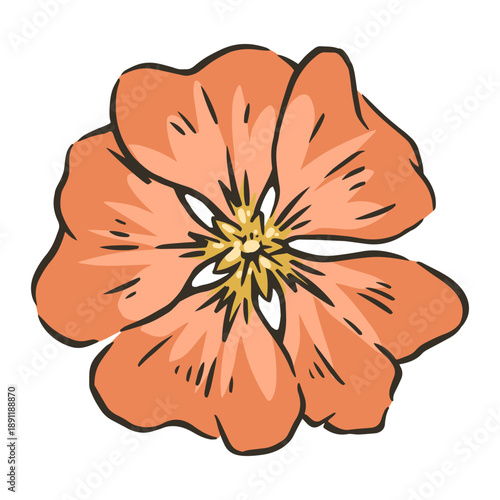 Bees drawn to flowers