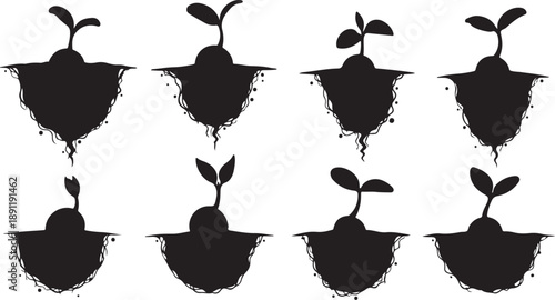 Silhouette of seedling growth stages in soil illustration set