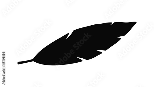 Silhouette of a black feather on a white background