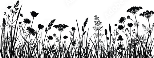 Black silhouette of wildflowers and grass on white background black, white, silhouette, wildflowers, grass, plants, flowers, botanical, nature, floral, black and white, simple, decorative, border, pat