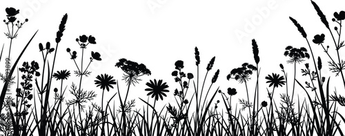 Black silhouette of wildflowers and grass on white background black, white, silhouette, wildflowers, grass, flowers, plants, nature, botanical, floral, black and white, simple, decorative, border, pat