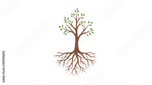 Stylized tree with visible roots and green leaves against white