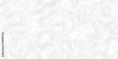 Modern paper topography map location discovery design. vector topo map design White background topographic world grid wave Topographic map geographic line texture.