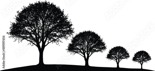 Black silhouette of four trees on a hill tree, trees, silhouette, black, hill, landscape, nature, outdoor, white background, simple, minimalistic, dark, shapes, foliage, branches, trunks, ground, terr