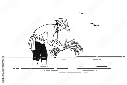 A farmer wearing a conical hat harvests rice in a paddy field, symbolizing traditional agriculture and rural life