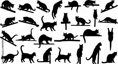 Black cat silhouettes collection showing playful, walking, jumping and resting poses on shelves and platforms, dynamic feline behavior illustration isolated on white background