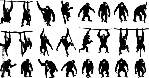 Chimpanzee and gorilla silhouette action set featuring climbing, hanging, walking, and playful poses, primate behavior study, wildlife motion reference, and animal illustration