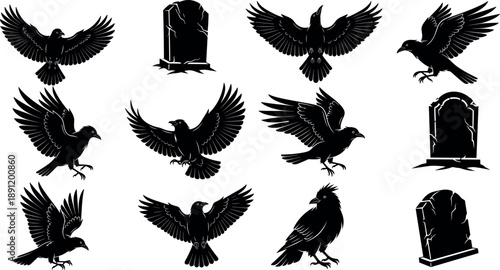 Crow and raven silhouette collection featuring flying birds with spread wings and spooky tombstones for halloween, gothic, mystery, horror, and dark wildlife concepts