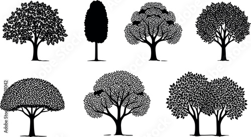 Detailed tree silhouettes collection featuring diverse deciduous tree shapes with dense foliage illustrating nature, forest and landscape elements isolated on white background