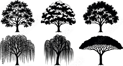 Detailed tree silhouettes collection featuring deciduous and ornamental trees with diverse canopies isolated on white background for nature, landscape and botanical design