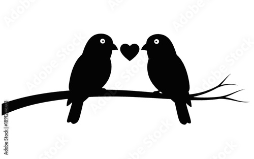 Couple of birds sitting on branch with heart symbol