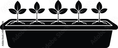 Seedlings growing in planter box silhouette showing young plants with roots in soil, black vector illustration isolated on white background for gardening, agriculture and eco design