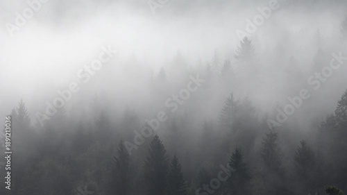 Fog in Mountains, Raining in Forest, Smoke, Mystical View, Foggy in Alpines, Mysterious Scary Scenery, Clouds in Wood, Timelapse