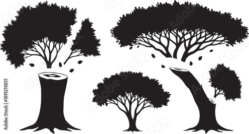 Silhouette of trees with trunks and leaves falling down