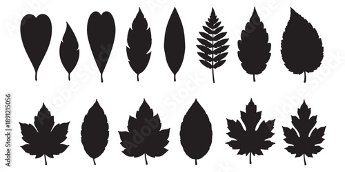 A set of black and white vintage film strip and grunge border frames