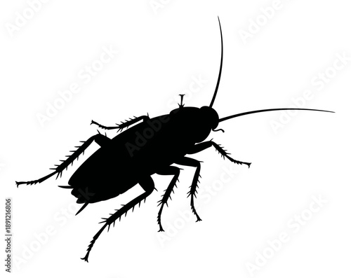 Cockroach Silhouette - Minimalist Vector Illustration