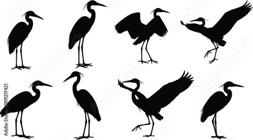 Set of heron bird silhouettes in black showing standing and flying poses for wildlife illustration, wetland design, and vector graphics