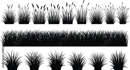 Set of grass and meadow silhouettes in black showing wild plants and reeds for landscape illustration, nature borders, and vector design use