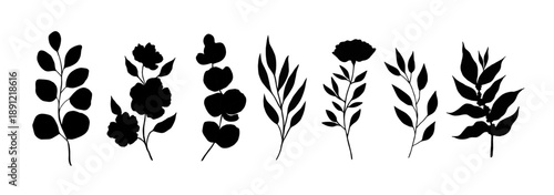 Set of vector silhouette medical plants. Medical herbs. Design for package, cards, backgrounds, logo, cosmetics and herbal tea.