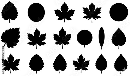 Assorted Black Leaf Silhouette Collection Vector with Botanical Shapes Isolated