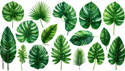 Array of watercolor-style tropical leaves on black background, showcasing various shapes