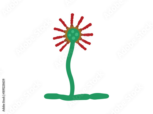 Mold Spore Aspergillus Clip Art
